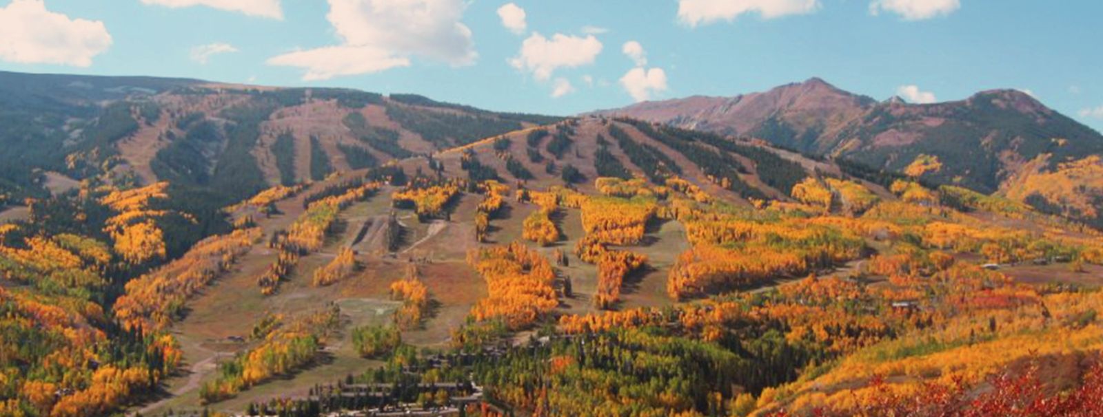 Snowmass Fall Foliage | Snowmass Condominium 