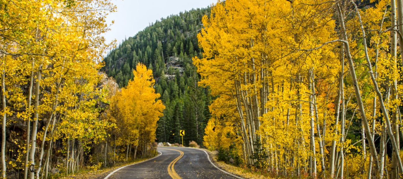 Independence Pass Fall Foliage | Timberline Condominium