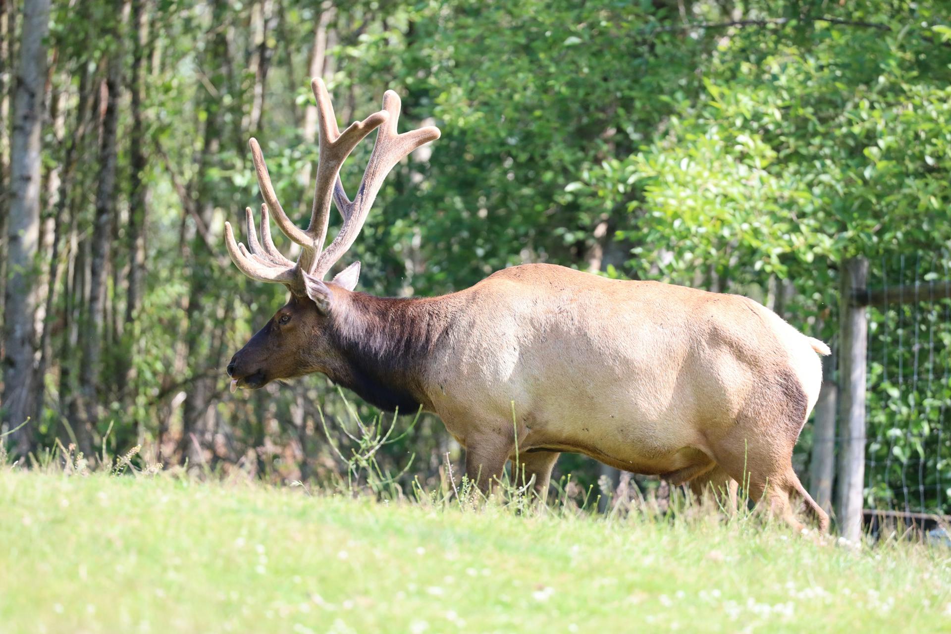 Vacation in Snowmass During the Quiet Season